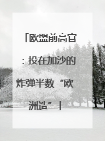 欧盟前高官：投在加沙的炸弹半数“欧洲造”