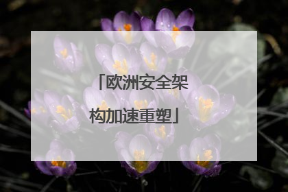 欧洲安全架构加速重塑