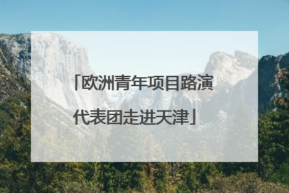 欧洲青年项目路演代表团走进天津