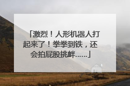 激烈！人形机器人打起来了！拳拳到铁，还会拍屁股挑衅……