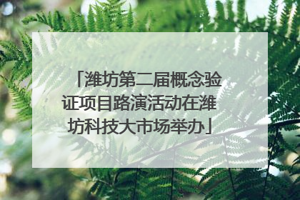 潍坊第二届概念验证项目路演活动在潍坊科技大市场举办