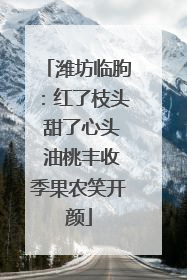 潍坊临朐：红了枝头 甜了心头 油桃丰收季果农笑开颜