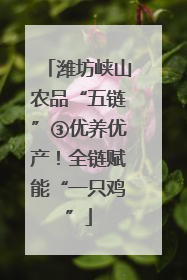 潍坊峡山农品“五链”③优养优产！全链赋能“一只鸡”