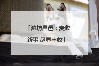 潍坊昌邑：麦收新事 尽显丰收