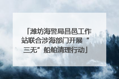 潍坊海警局昌邑工作站联合涉海部门开展“三无”船舶清理行动