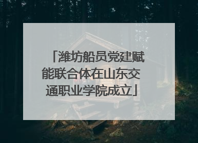 潍坊船员党建赋能联合体在山东交通职业学院成立