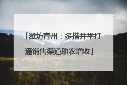 潍坊青州：多措并举打通销售渠道助农增收