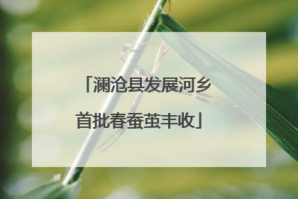 澜沧县发展河乡首批春蚕茧丰收