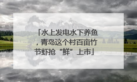 水上发电水下养鱼，青岛这个村百亩竹节虾抢“鲜”上市