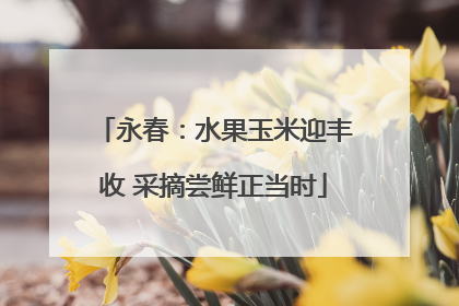 永春：水果玉米迎丰收 采摘尝鲜正当时