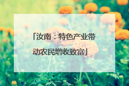 汝南：特色产业带动农民增收致富