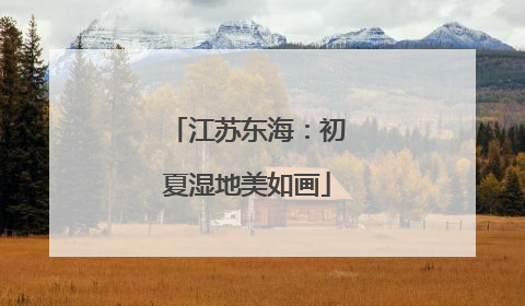 江苏东海：初夏湿地美如画