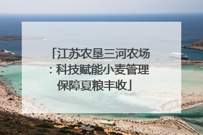 江苏农垦三河农场：科技赋能小麦管理保障夏粮丰收