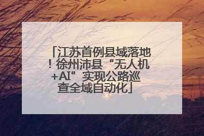 江苏首例县域落地！徐州沛县“无人机+AI”实现公路巡查全域自动化