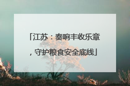 江苏：奏响丰收乐章，守护粮食安全底线