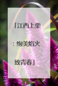 江西上栗：绚美焰火致青春