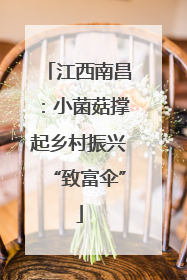 江西南昌：小菌菇撑起乡村振兴“致富伞”