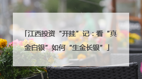 江西投资“开挂”记：看“真金白银”如何“生金长银”