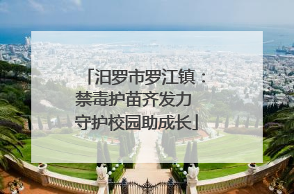 汨罗市罗江镇：禁毒护苗齐发力 守护校园助成长