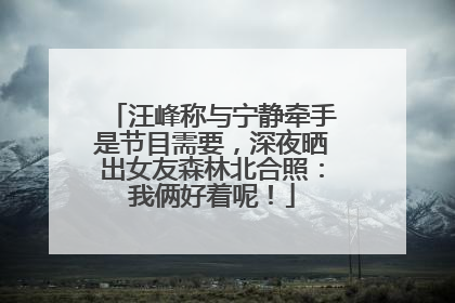 汪峰称与宁静牵手是节目需要，深夜晒出女友森林北合照：我俩好着呢！