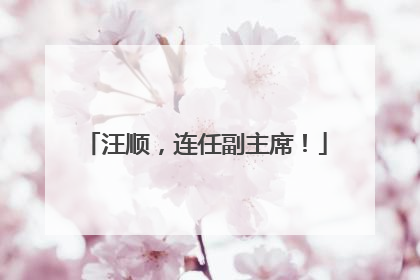 汪顺，连任副主席！