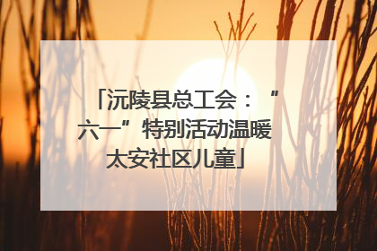 沅陵县总工会：“六一”特别活动温暖太安社区儿童
