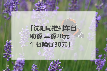 沈阳局推列车自助餐 早餐20元午餐晚餐30元