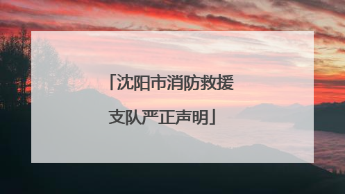 沈阳市消防救援支队严正声明
