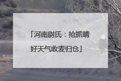 河南尉氏：抢抓晴好天气收麦归仓
