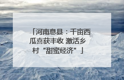 河南息县：千亩西瓜喜获丰收 激活乡村“甜蜜经济”
