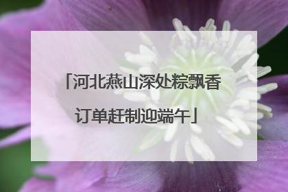 河北燕山深处粽飘香 订单赶制迎端午