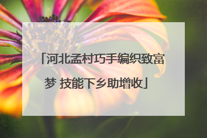 河北孟村巧手编织致富梦 技能下乡助增收