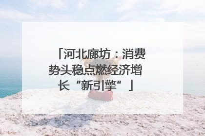河北廊坊：消费势头稳点燃经济增长“新引擎”
