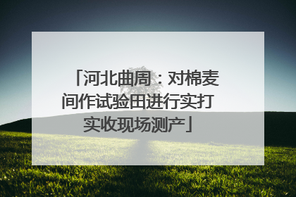 河北曲周：对棉麦间作试验田进行实打实收现场测产