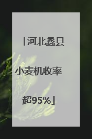 河北蠡县小麦机收率超95%