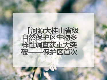 河源大桂山省级自然保护区生物多样性调查获重大突破——保护区首次发现珍稀名贵野生干巴菌与钝尾两头蛇