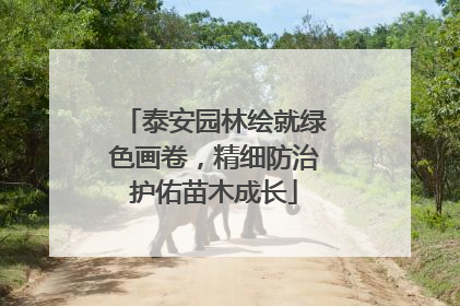 泰安园林绘就绿色画卷，精细防治护佑苗木成长