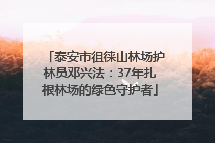 泰安市徂徕山林场护林员邓兴法：37年扎根林场的绿色守护者