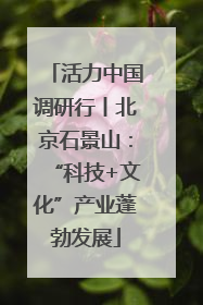 活力中国调研行丨北京石景山：“科技+文化”产业蓬勃发展