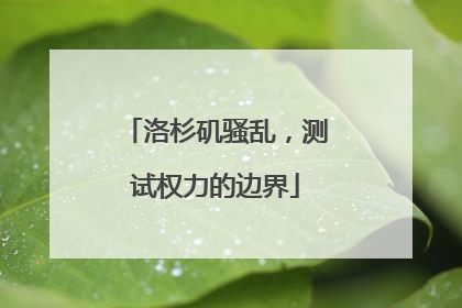 洛杉矶骚乱，测试权力的边界