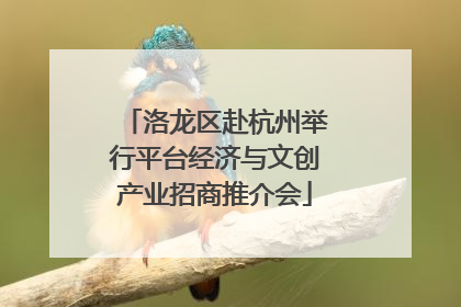 洛龙区赴杭州举行平台经济与文创产业招商推介会
