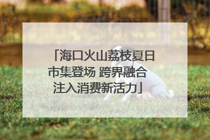 海口火山荔枝夏日市集登场 跨界融合注入消费新活力
