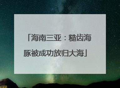 海南三亚：糙齿海豚被成功放归大海