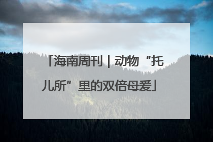 海南周刊｜动物“托儿所”里的双倍母爱
