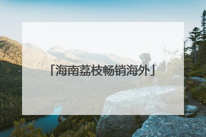 海南荔枝畅销海外