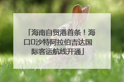 海南自贸港首条！海口⇌沙特阿拉伯吉达国际客运航线开通