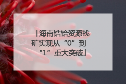 海南锆铪资源找矿实现从“0”到“1”重大突破
