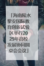 海南陵水黎安国际教育创新试验区举行2025年高校发展协同圆桌会会议