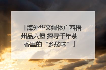 海外华文媒体广西梧州品六堡 探寻千年茶香里的“乡愁味”