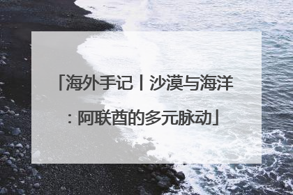 海外手记丨沙漠与海洋：阿联酋的多元脉动